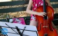 "Nie" dla szkoły muzycznej w Żołyni
