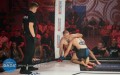 Gala MMA w Łańcucie