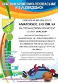 AMATORSKA LIGA ORLIKA