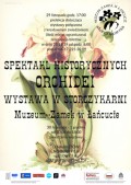 Spektakl Historycznych Orchidei