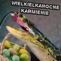 Wielkanocne Karmienie Waranów w Wild Life